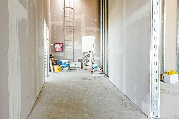  Fulton, MD Mold Removal Pros